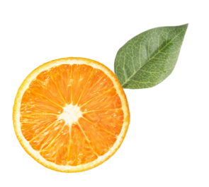 imagen-naranja